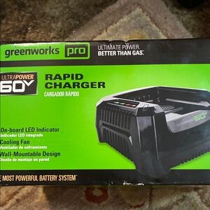 Pro 60V Rapid Charger - Black/Green